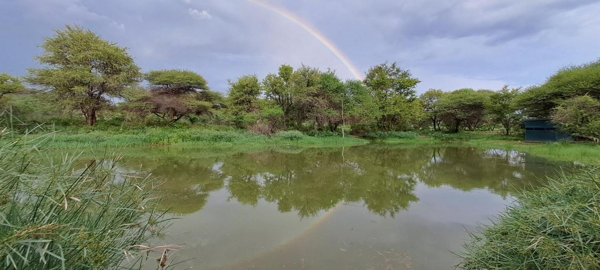 Woodlands Stop Over And Lodge Francistown Dış mekan fotoğraf