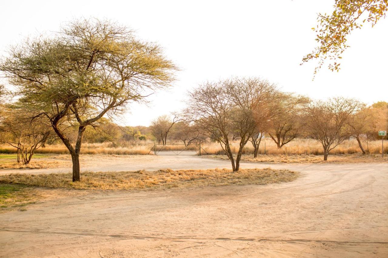 Woodlands Stop Over And Lodge Francistown Dış mekan fotoğraf